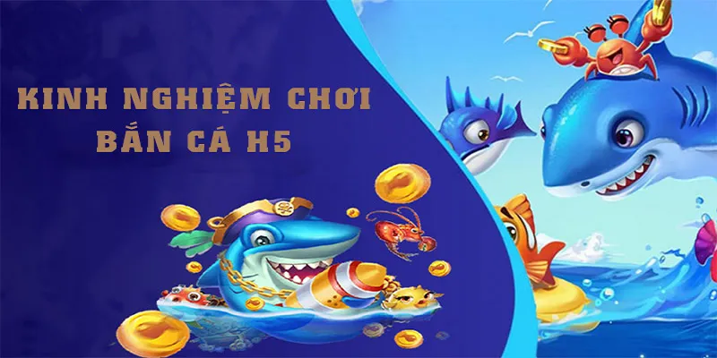 Học hỏi càng nhiều kinh nghiệm, giải thưởng khủng càng về gần hơn