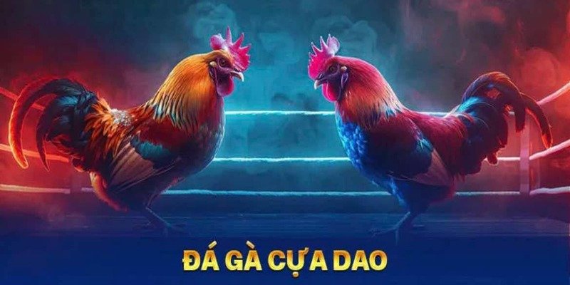 Đặt cược Đá gà cựa dao tại nhà cái vô cùng tiện lợi và nhanh chóng